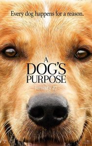 فيلم A Dog's Purpose 2017 مترجم فيلم A Dog's Purpose 2017 مترجم