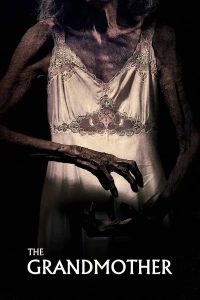 فيلم The Grandmother 2021 مترجم فيلم The Grandmother 2021 مترجم