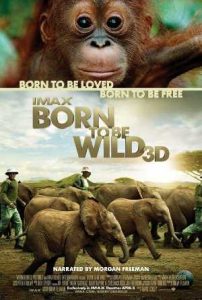فيلم Born to Be Wild 2011 مترجم فيلم Born to Be Wild 2011 مترجم