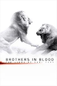 فيلم Brothers in Blood: The Lions of Sabi Sand 2015 مترجم فيلم Brothers in Blood: The Lions of Sabi Sand 2015 مترجم